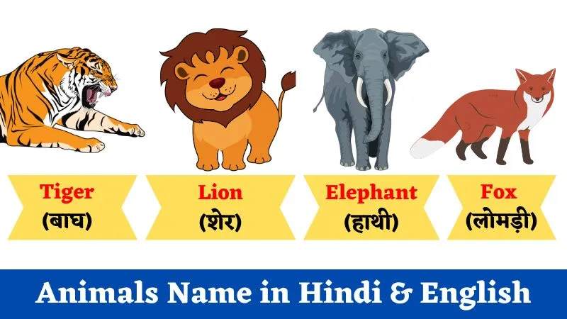 Animals Name in Hindi