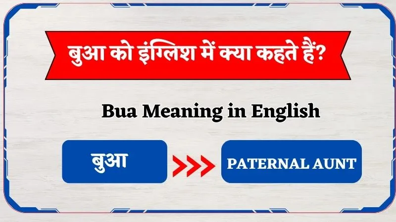 Bua Ko English Mein Kya Kehte Hain