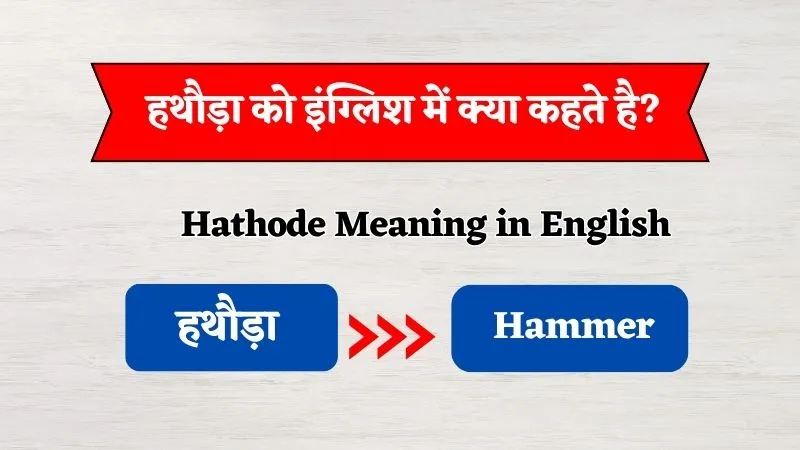 Hathode Ko English Mein Kya Kehte Hain