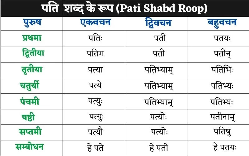 Pati Shabd Roop