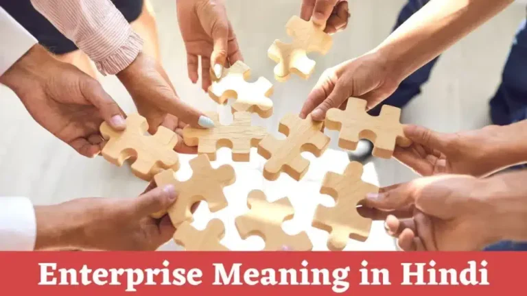 Enterprise Meaning in Hindi
